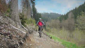 Flow-Trail im Frankenwald: schmaler Pfad, kein Stein, keine Wurzel