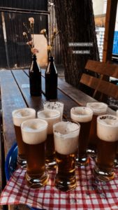 Gefüllte Biergläser der Brauerei Meinel