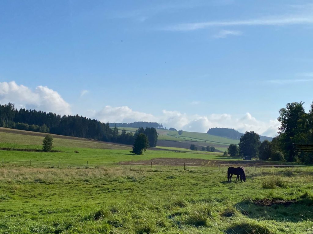 Landschaft zwischen Hof und Helmbrechts in Oberfranken. (Bildquelle: M. Spindler)