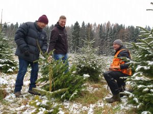 Revierleiter Frank Hellfritzsch hilft den Kunden gerne beim Fällen ihrer ausgesuchten Bäume. (Bild: D. Müller)