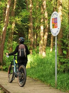 Radfahrerin im Wald