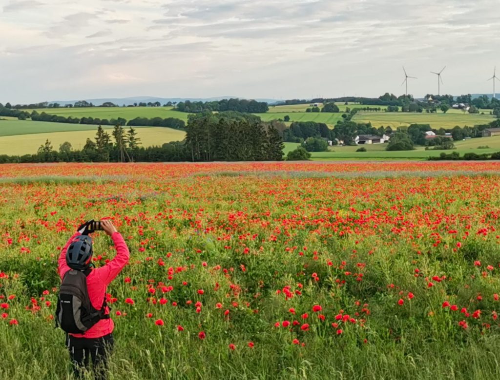 Frau fotografiert Mohnfeld bei der Landkreisumrundung