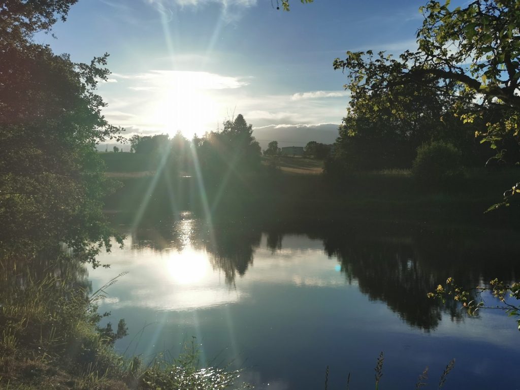 Dorfteich in der Sonne