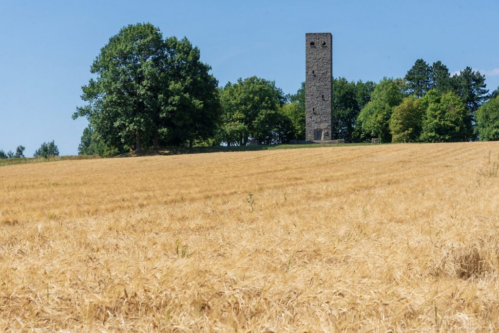 Rohrbühlturm in Münchberg vor einem Weizenfeld