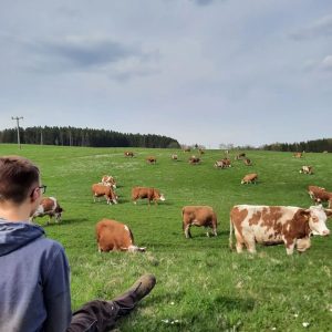 Landwirt blickt auf seine Kuhweide