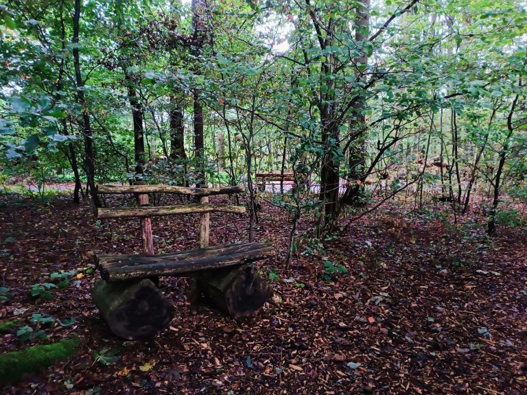 Das Foto zeigt einen der Kraftorte im Hofer Land: eine Bank gebaut aus Ästen und Holz. Sie ist eingebettet Mitten von Bäumen, im Hintergrund sieht man den Weg durch den Kurpark.