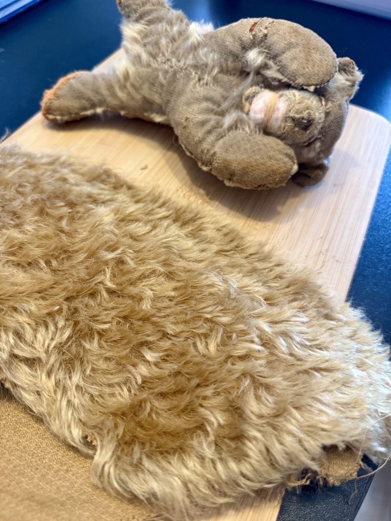 Abgenutzter Teddybär und ein Stück Fell daneben