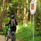 Radfahrerin im Wald